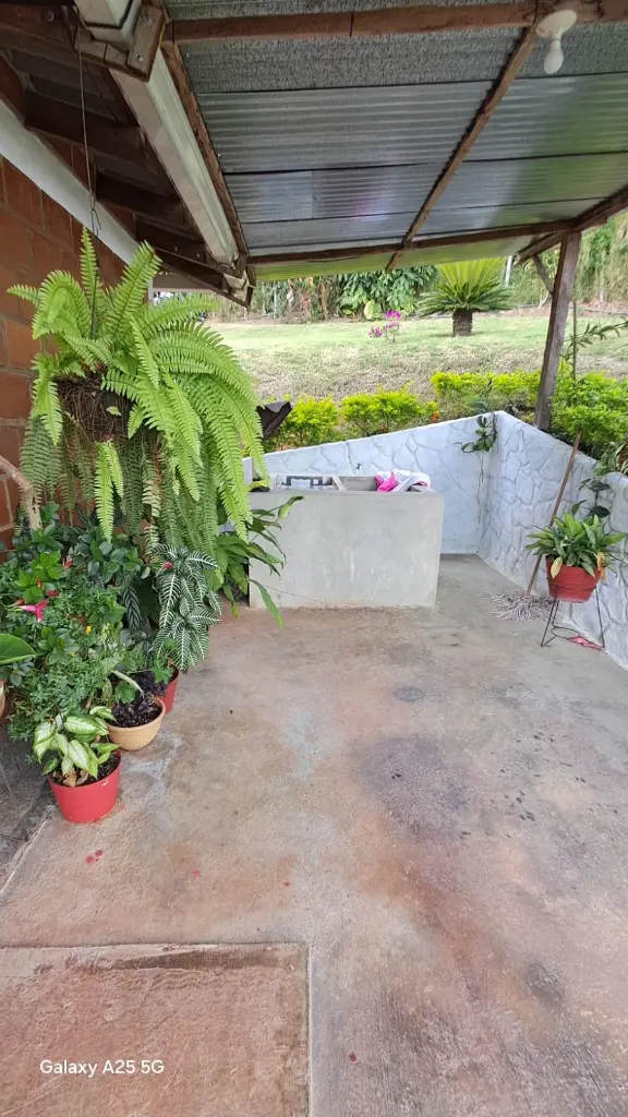 WhatsApp Image 2025-03-05 at 12.42.35 PM.webp