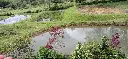 WhatsApp Image 2025-03-05 at 12.46.47 PM (1).webp